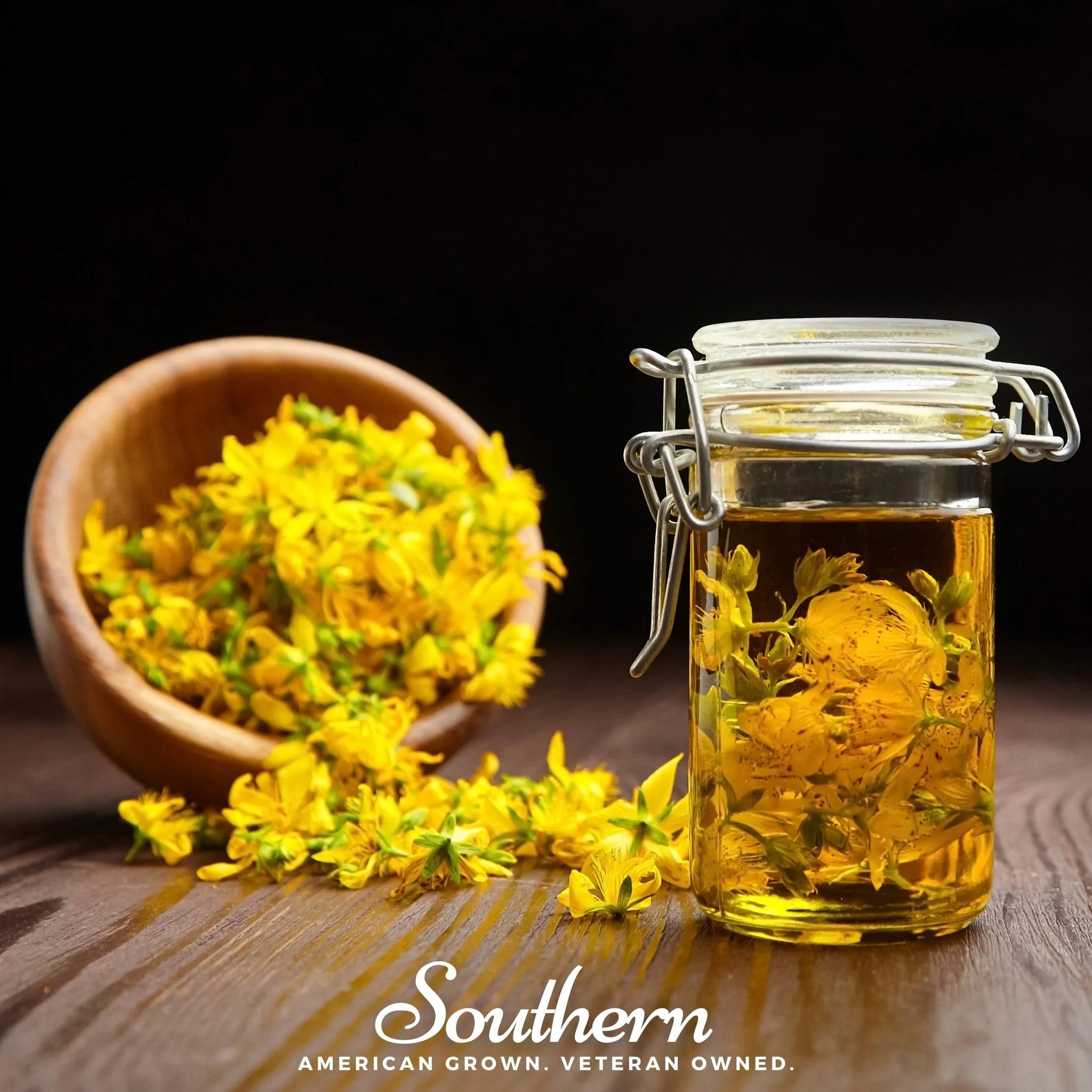 St John’s Wort, DOTTED (Hypericum punctatum) - 100 Seeds