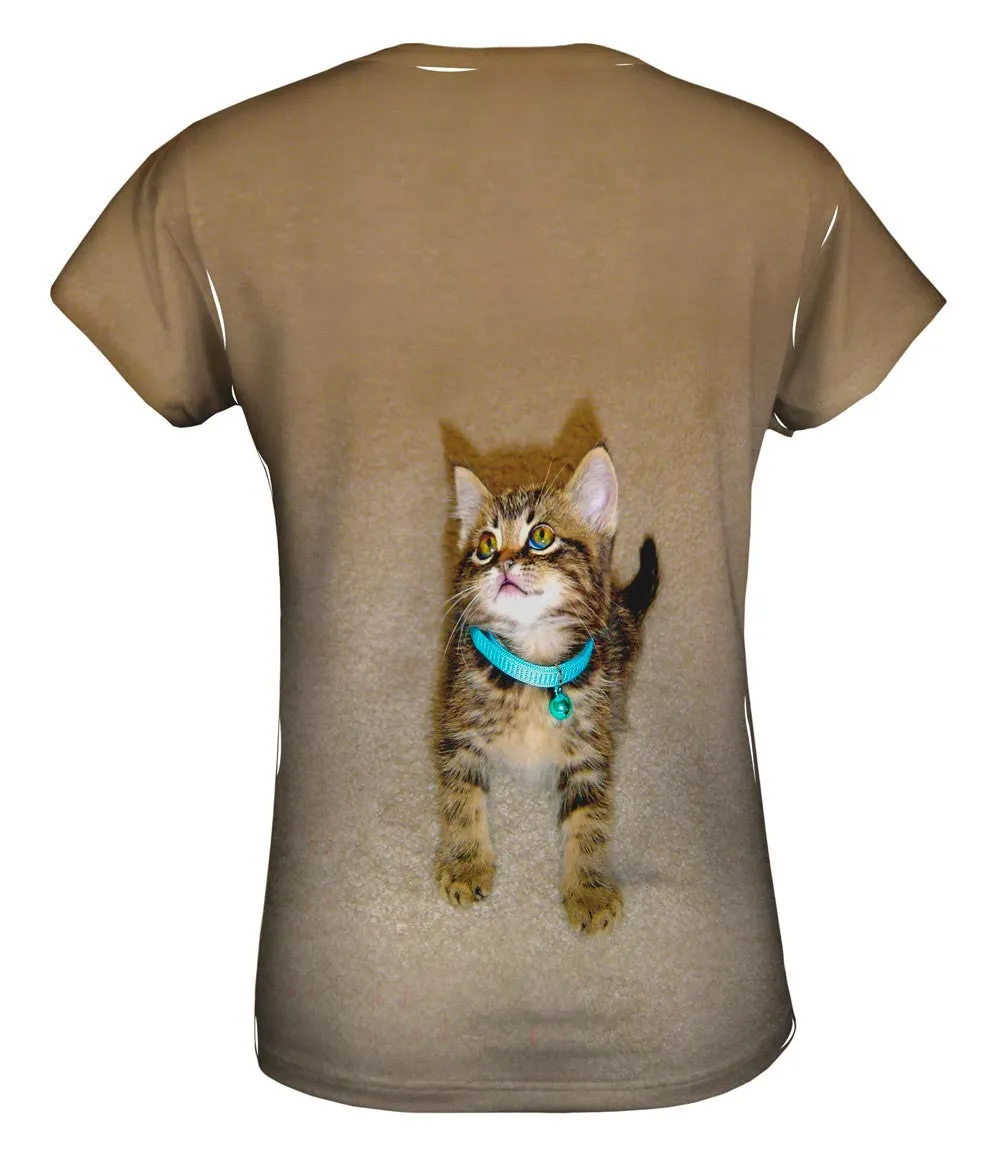 Tireless Kitty Cat