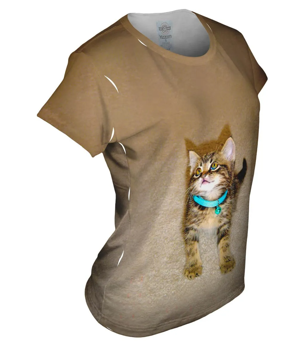Tireless Kitty Cat