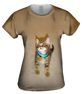 Tireless Kitty Cat