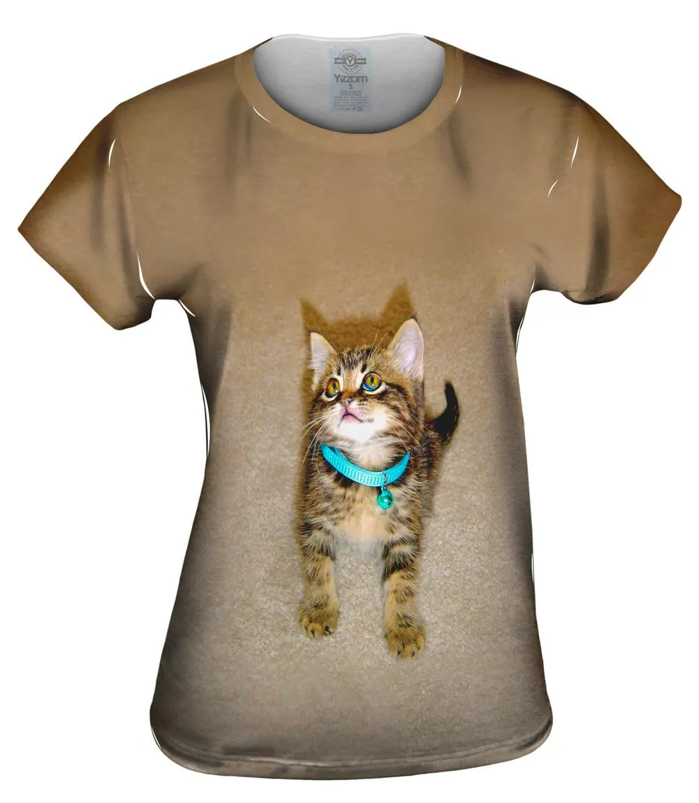 Tireless Kitty Cat